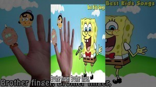 'SpongeBob - Finger Family Song Collection - Nursery Rhymes SpongeBob Finger Family for Kids'