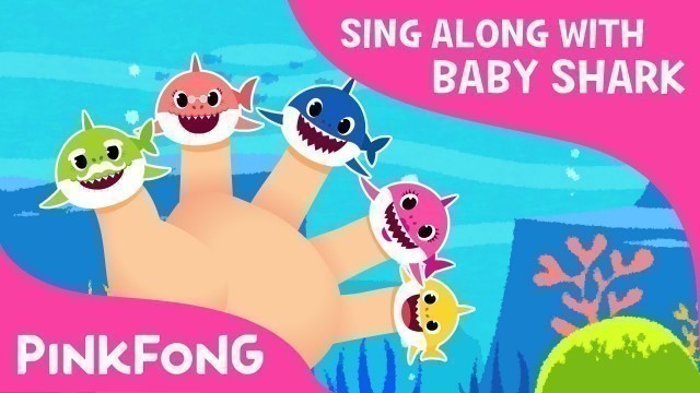 'Shark Finger Family | Sing Along with Baby Shark | Pinkfong Songs for Children'