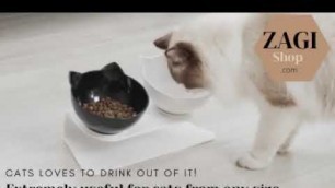 'Orthopedic Anti-Vomit Pet Cup'
