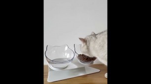'DAFMA™ - Anti-Vomit Cat Bowl'