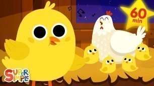 'Five Little Chicks | + More Kids Songs | Super Simple Songs'