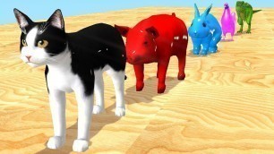 'Old MacDonald Had A Farm | Nursery Rhymes Songs With Farm animals are transformed into wildlife'