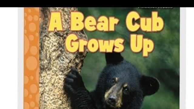 'Read Along Books For Kids || A Bear Cub Grows Up || Read With Izyan'