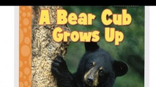 'Read Along Books For Kids || A Bear Cub Grows Up || Read With Izyan'
