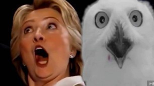 '★FAIL★ Hillary Clinton Health Problems - Watch Bill Clinton Call Hillary’S Health Problems “Very'