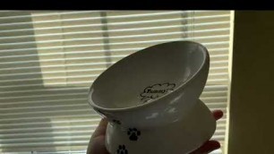 'Y YHY Cat Bowl,Raised Cat Food Bowls Anti Vomiting'