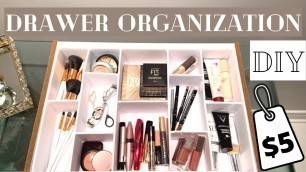 'MAKEUP DRAWER ORGANIZER DIY | Easy Makeup Organization | Dollar store Hack: ONLY $5! Tidy Team'