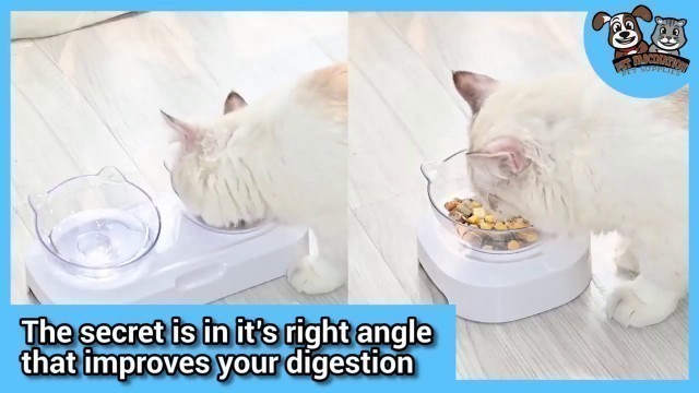 'ANTI VOMITING ORTHOPEDIC CAT BOWL VIDEO 2'