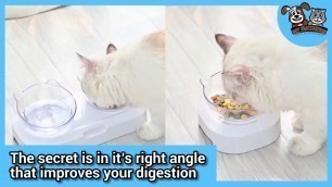'ANTI VOMITING ORTHOPEDIC CAT BOWL   VIDEO 2'