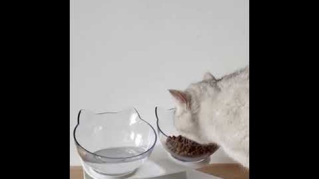 'Anti-Vomiting Orthopedic Cat Bowl'