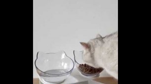 'Anti-Vomiting Orthopedic Cat Bowl'