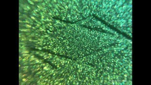 'Swatch multichrome eyeshadow Nebula Lethal Cosmetics'