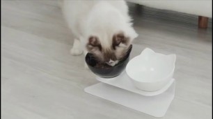 'AKTIVE PETS - Anti-Vomiting Cat Bowl'