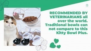 'KITTY BOWL - ORTHOPEDIC & ANTI-VOMITING'