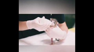'CUTE is not Enough 