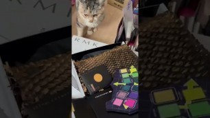 'My cat scolds me for buying too much makeup 