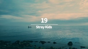 'Stray Kids (스트레이 키즈) - \'19\' Piano Tutorial 피아노 튜토리얼 by Lunar Piano'