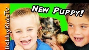'HobbyKids Get a NEW PUPPY!'