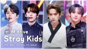 'Stray Kids.zip 