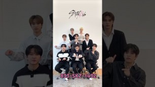 'Stray Kids Love Line｜1-833-SKZ-1432