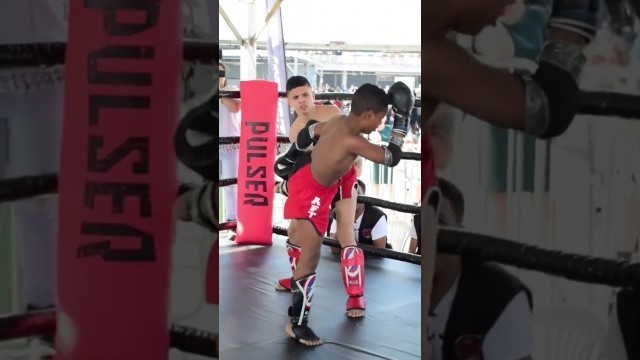 'TKO MuayThai Kids Jatobá Fight Striker #shorts #muaythai #ufc #mma #youtubeshorts #rveventos'