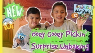 'Ooey Gooey Picken Surprise | Exclusive HobbyKids Adventures Toy'