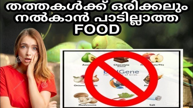'Unhealthy food for parrots Malayalam | അറിയാതെ പോലും ഇതൊന്നും കൊടുത്തു കളയല്ലേ പണികിട്ടും#parrotfood'