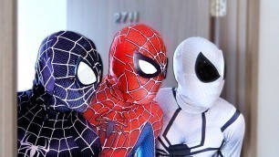 'TEAM SPIDER-MAN vs BAD GUY TEAM | TRAINING NERF GUN To Become SUPERHERO ( Live Action )'