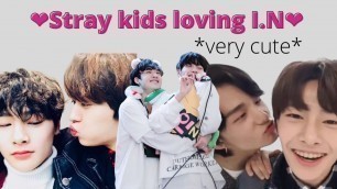 'Stray Kids love I.N'
