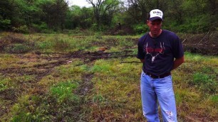'Spring Food Plots vs Fall Food Plots'