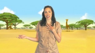 'Spanish for Kids - Spanish Vocabulary and Grammar - Lessons 31 to 40'