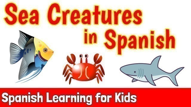 'Sea Creatures in Spanish'