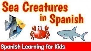 'Sea Creatures in Spanish'