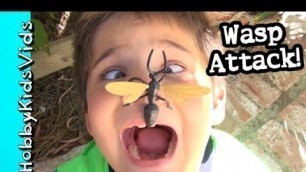 'Wasp! Ant Man Cut Scenes Live Ant Facts with Behind Scenes HobbyKids'