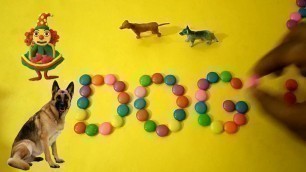 'Learn Domestic Animals for Kids | Learn Animals Names | Colourful Candy\'s | Lessons for Kids'