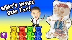 'Science Lab 4D: What\'s in a Toy BEAR? Science Surprise with HobbyKidsTV'