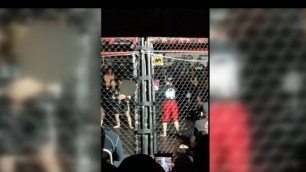 'Undercover video shows unsanctioned MMA fights featuring kids, adults'