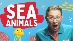 'Sea Animals in Spanish for Kids | Spanish Lessons'