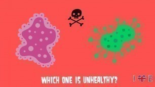 'Healthy or Unhealthy food QUIZ - Здорова та шкідлива їжа ВІКТОРИНА'
