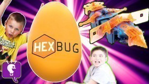 'GIANT HEXBUG Surprise Egg and TOYS with HobbyKidsTV'