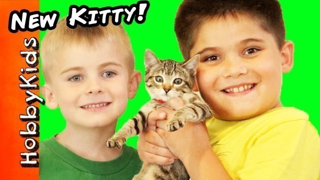 'HobbyKids Get a NEW Kitty Cat! What Should We Namer Her?'