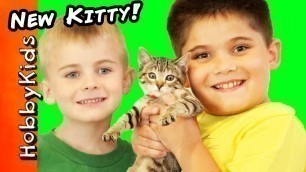 'HobbyKids Get a NEW Kitty Cat! What Should We Namer Her?'