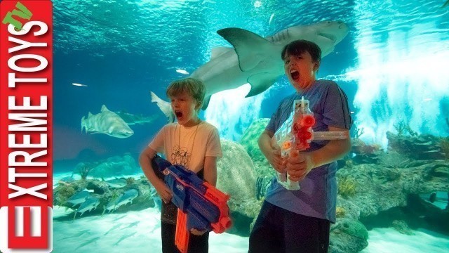 'Teleport Trouble Part 2! Nerf Battle in the Aquarium!'