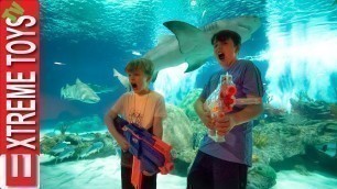 'Teleport Trouble Part 2! Nerf Battle in the Aquarium!'