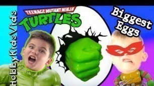 'Biggest HULK + TMNT Surprise Eggs! Fun Toys with Ninja Turtles HobbyKidsVids'