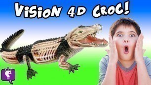 'Science Lab! HobbyPig Builds a 4D Crocodile Toy'