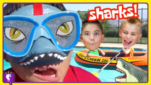 'Shark Adventures COMPILATION and Play with The HobbyKids!'