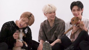 'Stray Kids Play: The Puppy Interview'