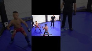 'UNBELIEVABLE! Kids MMA Fighting in Brazil #shorts #mma #brazil #fights #kids #kickboxing #knockout'