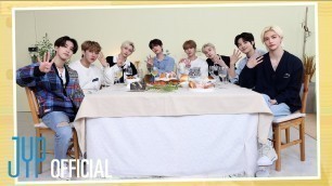 'SKZ x MBTI 실험실｜Stray Kids 4th Anniversary Special Video for STAY'